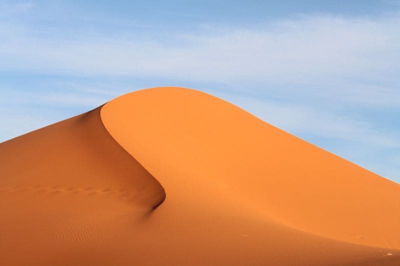 Desierto del Sahara: Las Cosas Más Impresionantes que Esconde el Desierto Más Grande del Mundo
